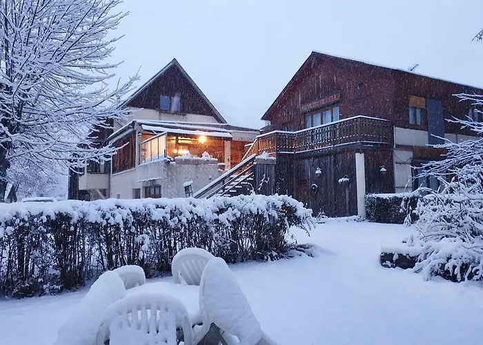 Le Vieux Tilleul Hotel Seyne