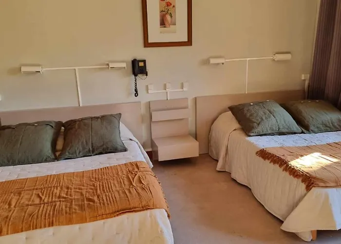 Le Vieux Tilleul Seyne